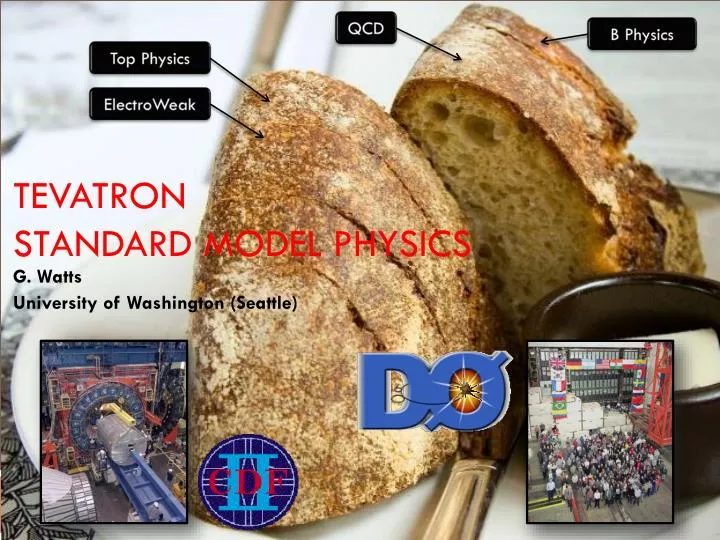 tevatron standard model physics