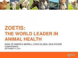 ZOETIS: THE WORLD LEADER IN ANIMAL HEALTH
