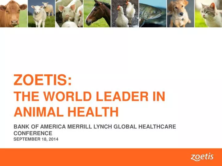 zoetis the world leader in animal health