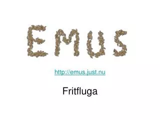 http emus just nu fritfluga