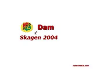 Skagen 2004