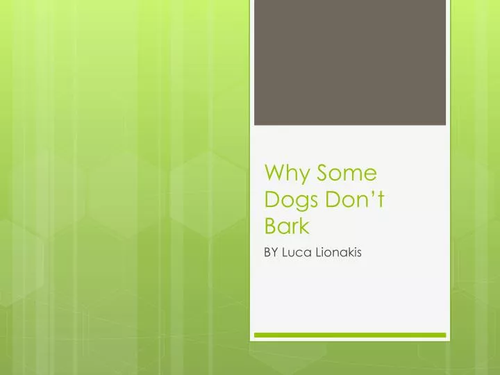 why some dogs don t bark