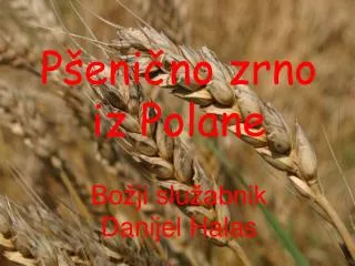 p eni no zrno iz polane