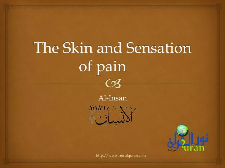 the skin and sensation of pain