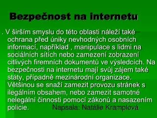 bezpe nost na internetu