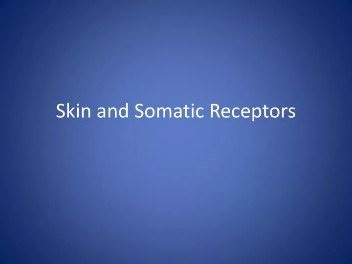 skin and somatic receptors