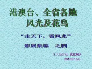 2010 10