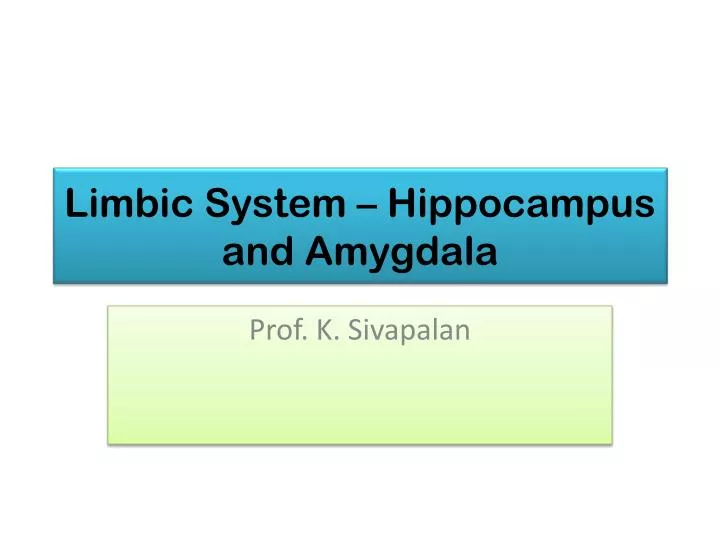 limbic system hippocampus and amygdala