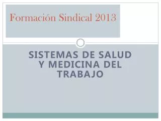 formaci n sindical 2013