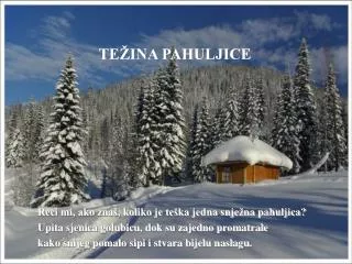 TEŽINA PAHULJICE