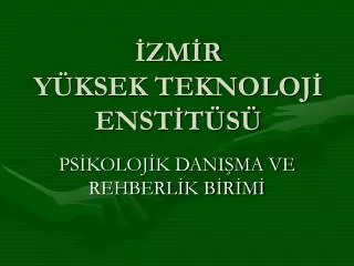 zm r y ksek teknoloj enst t s