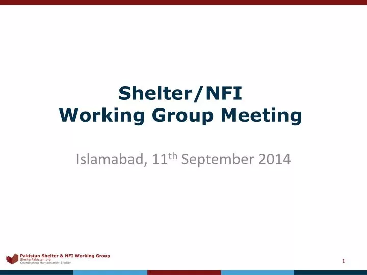 shelter nfi working group meeting