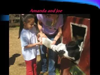 amanda and joe