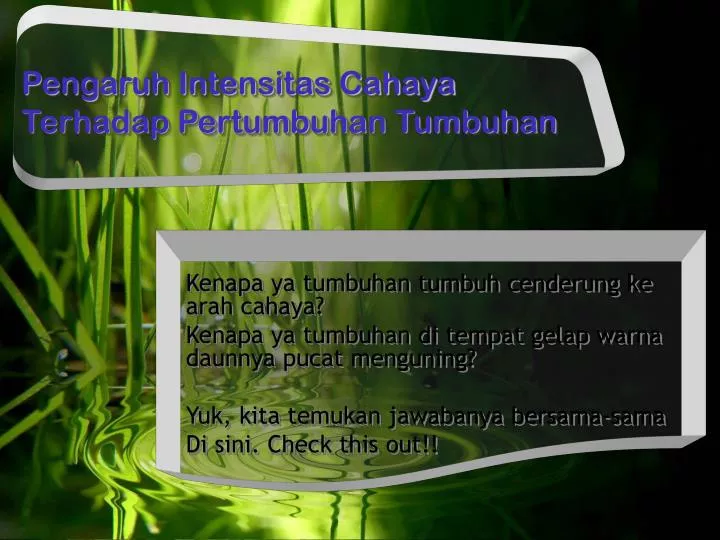 pengaruh intensitas cahaya terhadap pertumbuhan tumbuhan