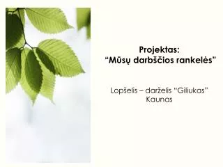 projektas m s darb ios rankel s lop elis dar elis giliukas kaunas
