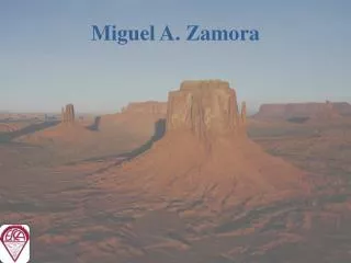 miguel a zamora