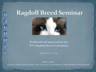 Ragdoll Breed Seminar