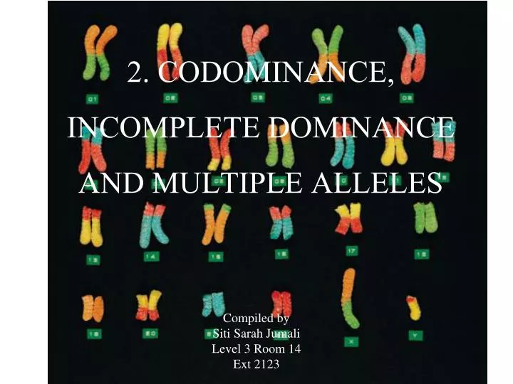 2 codominance incomplete dominance and multiple alleles