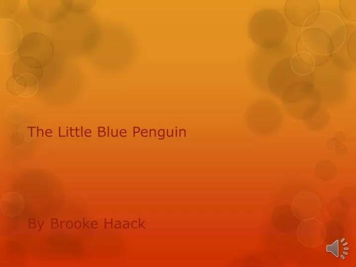 the little blue penguin by brooke haack