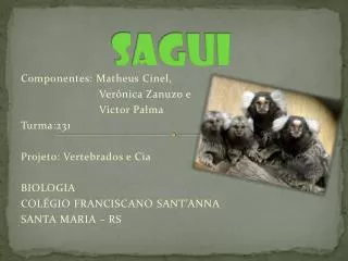 sagui