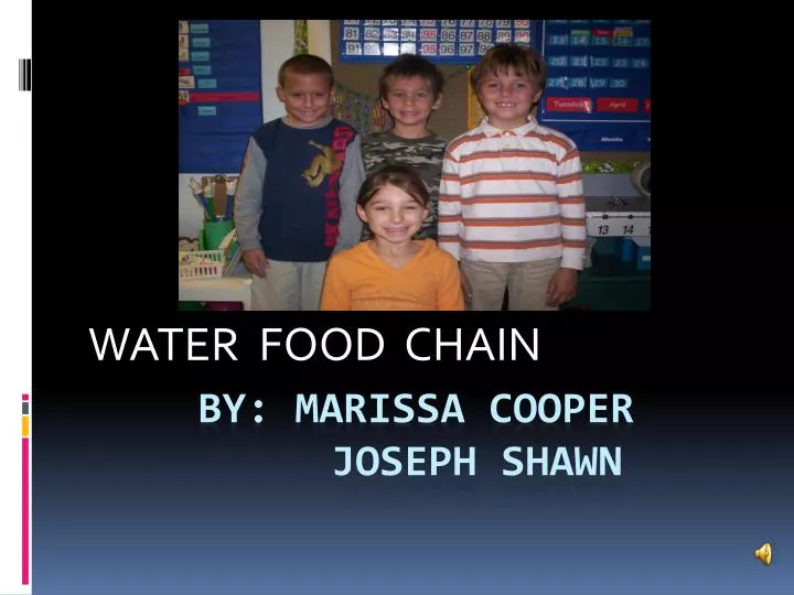 water food chain
