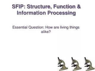 SFIP: Structure, Function &amp; Information Processing