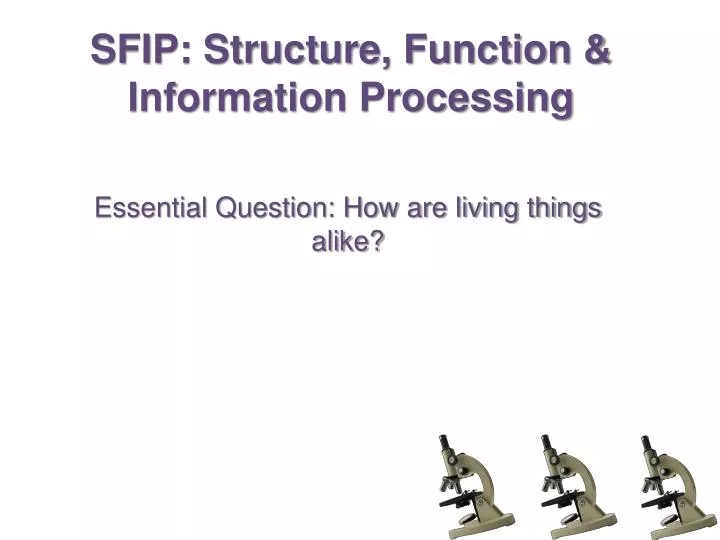 sfip structure function information processing