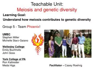 Teachable Unit: Meiosis and genetic diversity