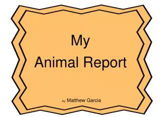 My Animal Report