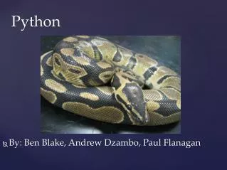 Python