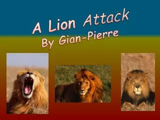 A Lion Attack By Gian -Pierre