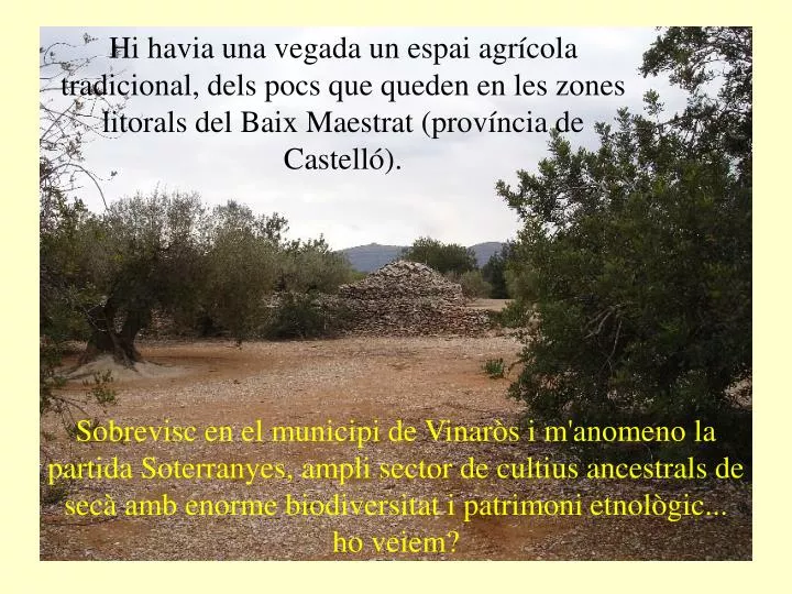 soterranyes baixes vinar s cs espanya