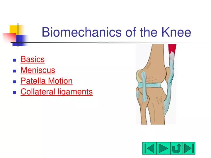 biomechanics of the knee