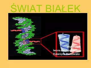 wiat bia ek
