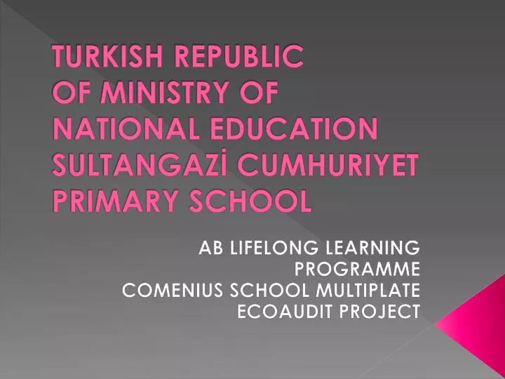 turkish republic of ministry of national education sultangaz cumhuriyet primary school