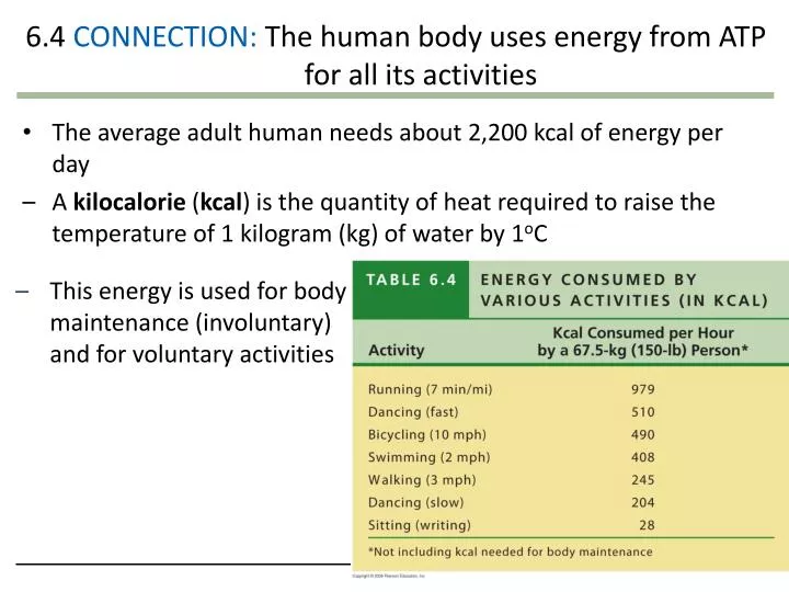 6 4 connection the human body uses energy from atp for all its activities