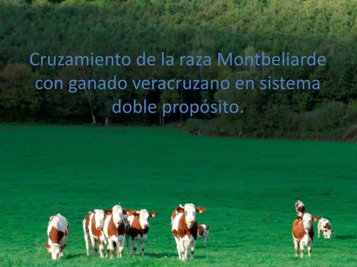 cruzamiento de la raza montbeliarde con ganado veracruzano en sistema doble prop sito