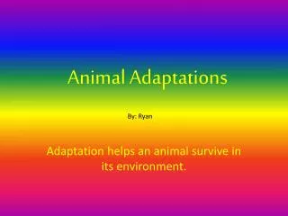 animal adaptations