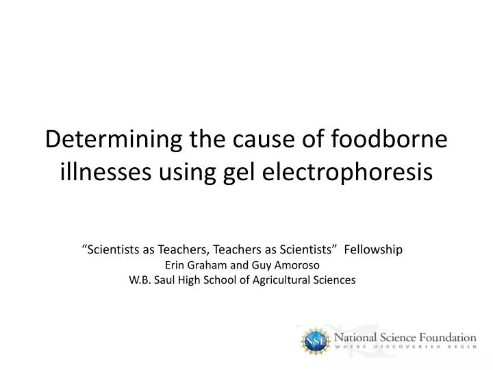 determining the cause of foodborne illnesses using gel electrophoresis