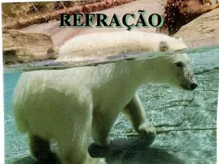 refra o