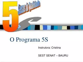 o programa 5s
