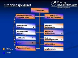 organisasjonskart