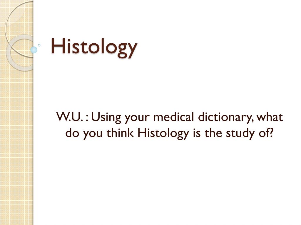 PPT - Histology PowerPoint Presentation, free download - ID:5263688