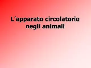 l apparato circolatorio negli animali