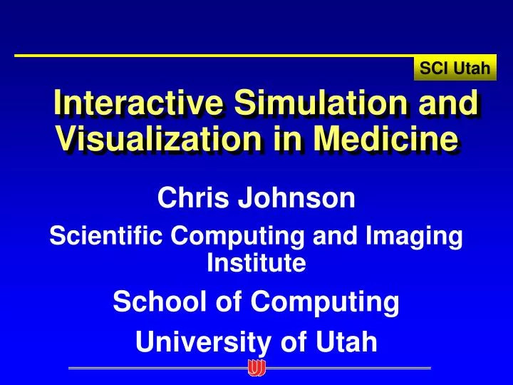 interactive simulation and visualization in medicine