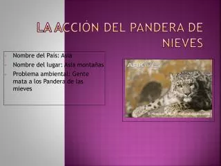 la acci n del pandera de nieves