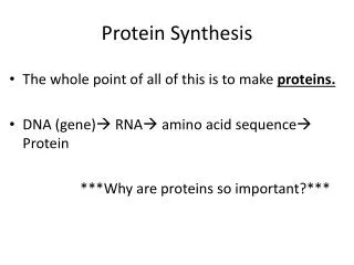 Protein Synthesis