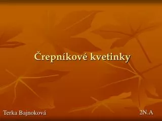 repn kov kvetinky