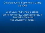 Developmental Supervision Using the IDM - slide 1
