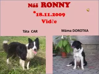 n ronny 18 11 2009 vid e